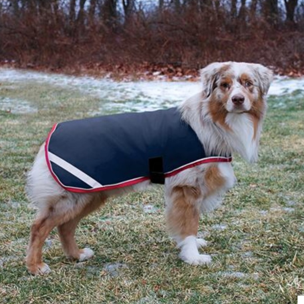 Horseware® Ireland Rambo® Waterproof Dog Blanket